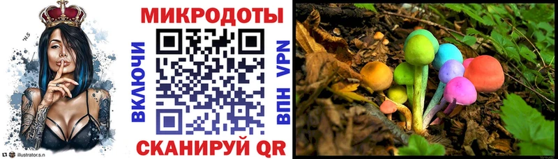Галлюциногенные грибы ЛСД  Кедровый 
